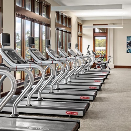 wall of windows brightens spacious fitness center