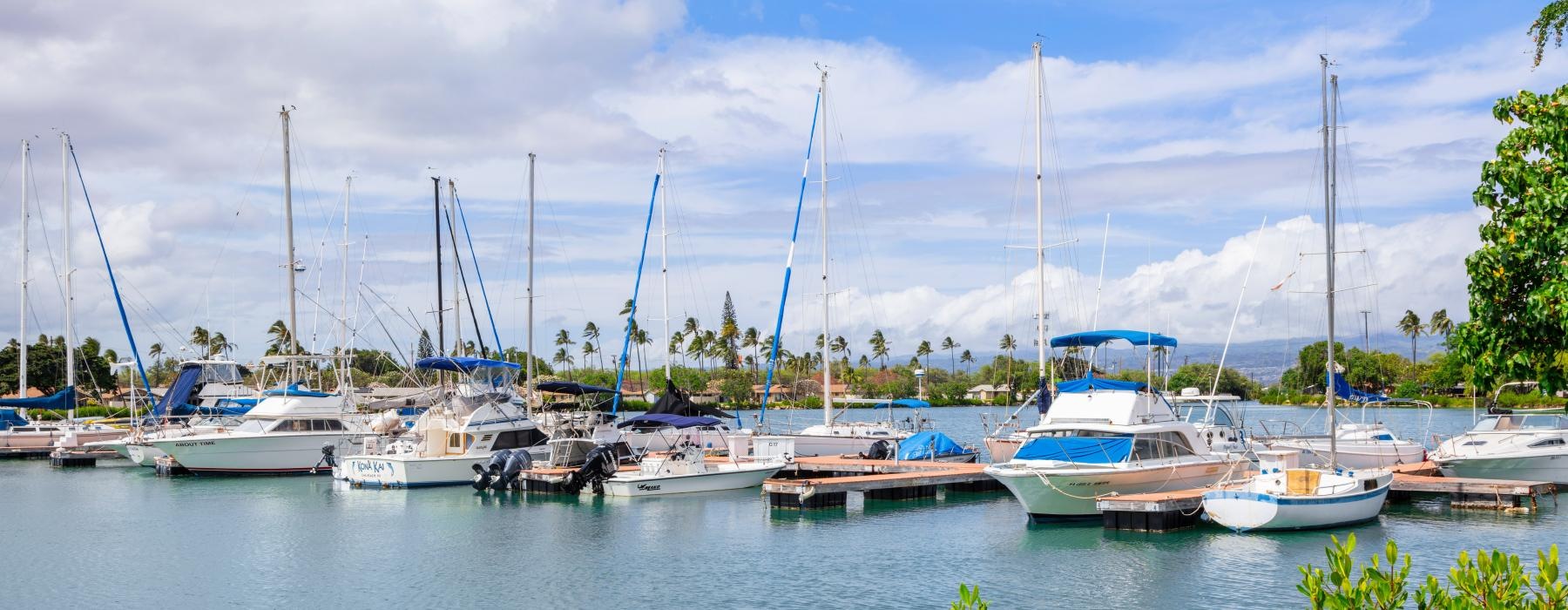 a group of boats sit in a harbor